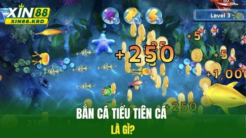 Bắn cá tiểu tiên cá là gì?