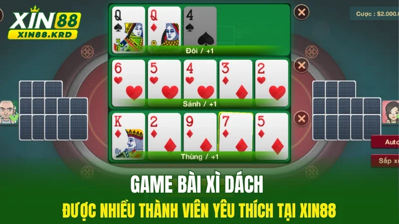 Game bài xì dách được nhiều thành viên yêu thích tại XIN88