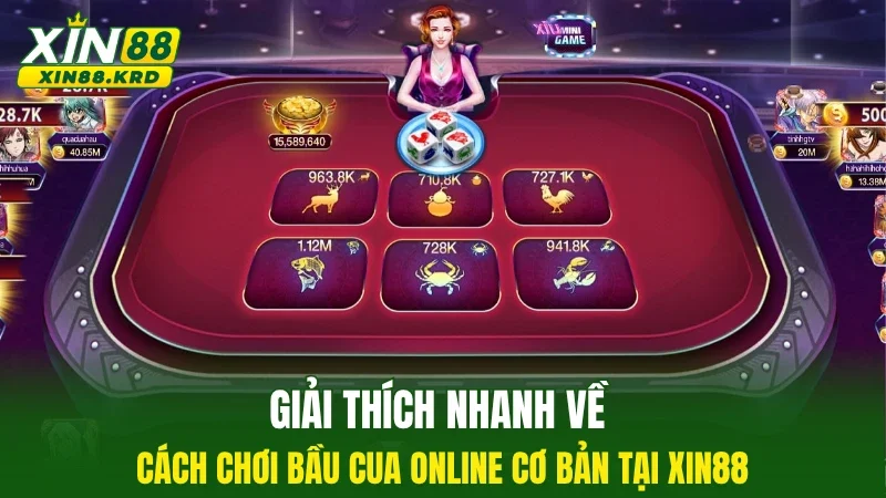 Giải thích nhanh về cách chơi bầu cua online cơ bản tại XIN88