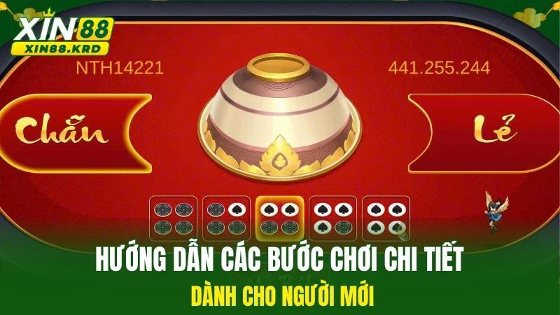 Hướng dẫn các bước chơi chi tiết dành cho người mới