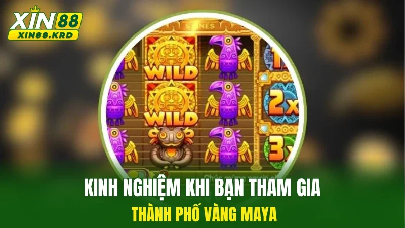 Kinh nghiệm khi bạn tham gia thành phố vàng Maya