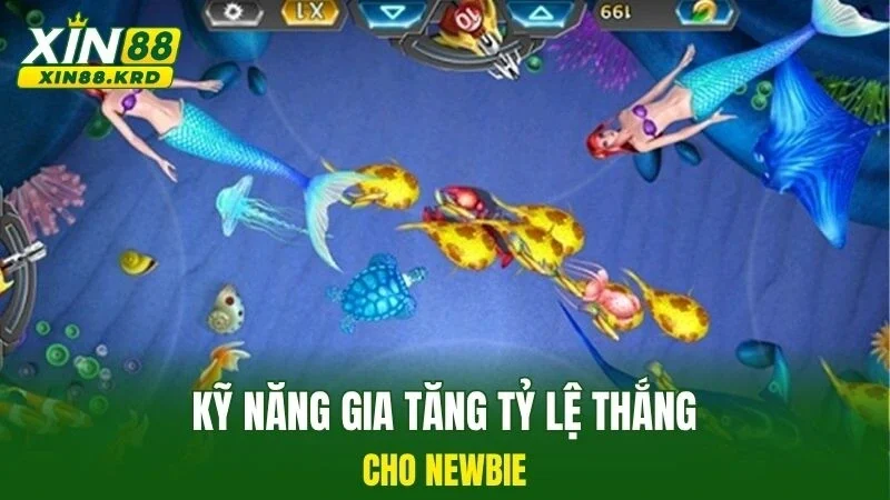 Kỹ năng gia tăng tỷ lệ thắng cho newbie