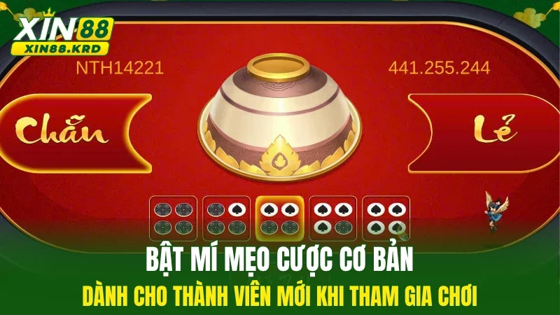 Bật mí mẹo cược cơ bản dành cho thành viên mới khi tham gia chơi