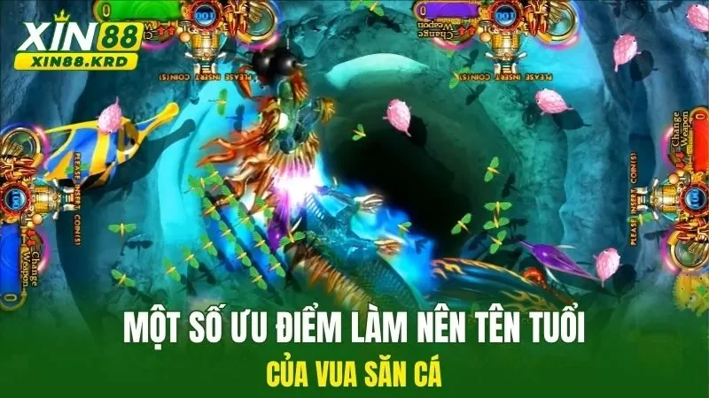 Một số ưu điểm làm nên tên tuổi của vua săn cá