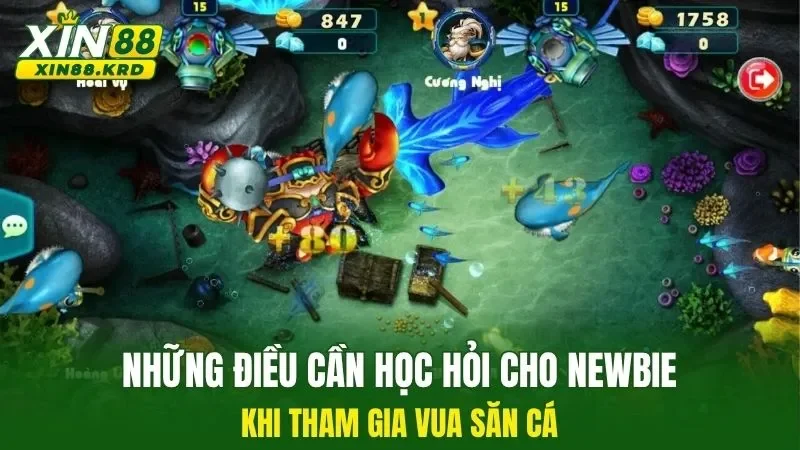 Những điều cần học hỏi cho newbie khi tham gia vua săn cá